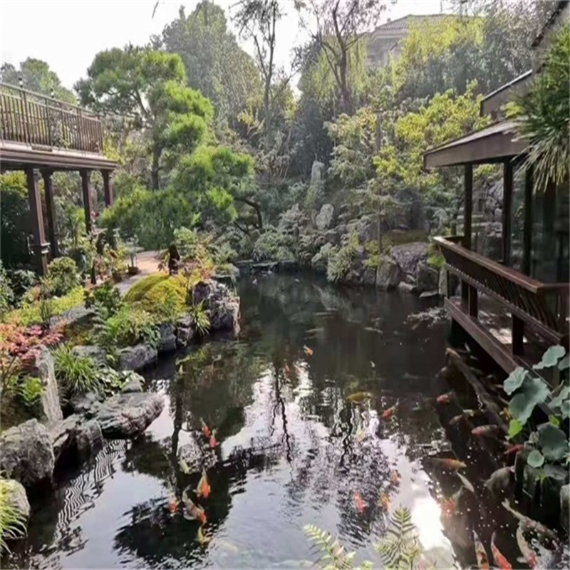 郫县假山植物小鱼池
